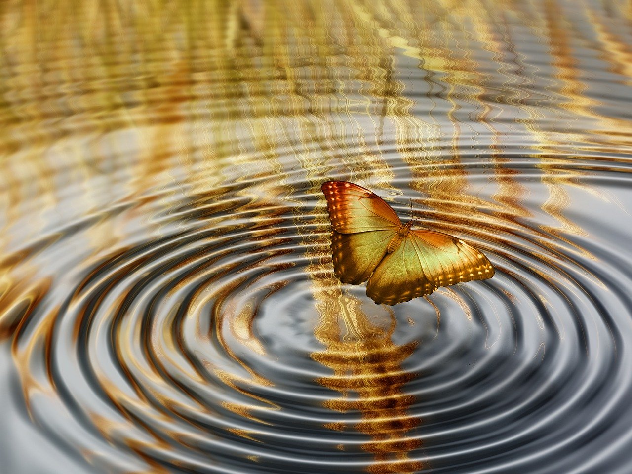 小七若水最新章节探秘，揭秘未知之谜