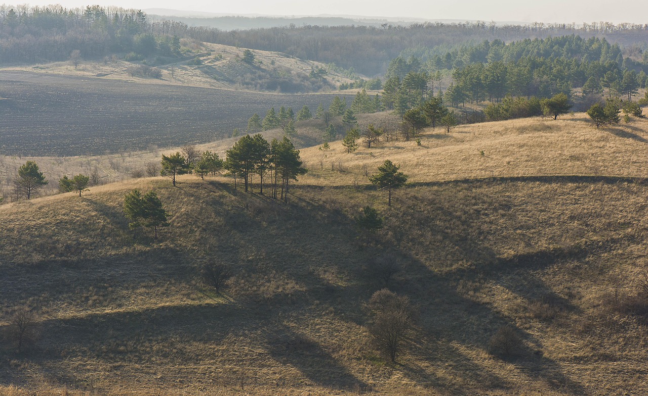 英山四季花海，绽放的美丽揭开旅游新篇章